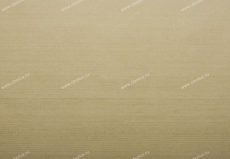Обои Zoffany Plain & Stripes 2459004
