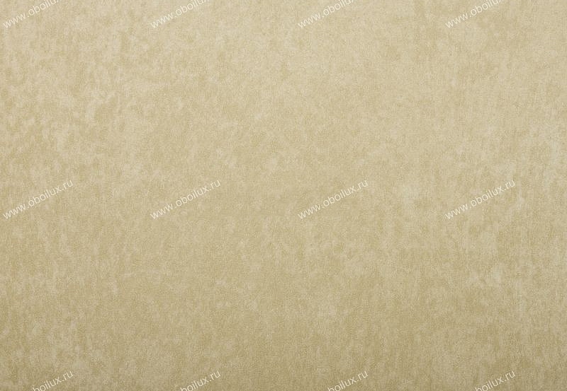 Обои Zoffany Plain & Stripes 2454004