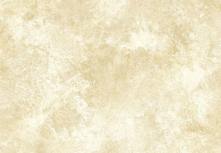 Обои Chesapeake Natural Living NL58293