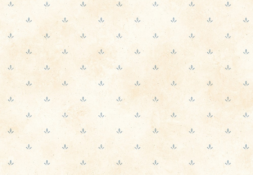 Обои Chesapeake Pure Country PUR66412