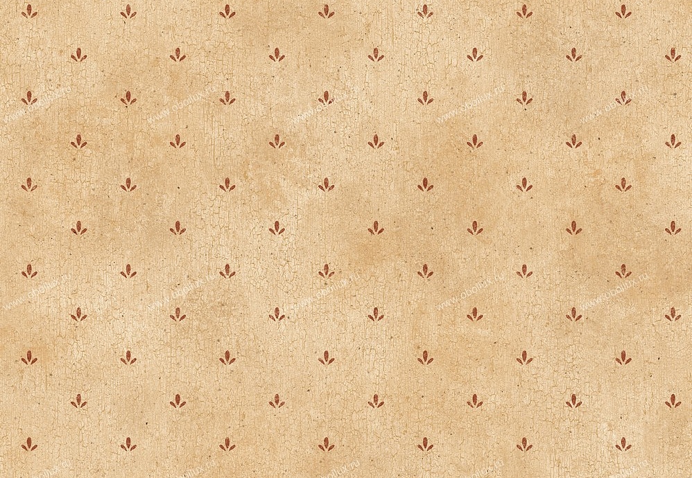 Обои Chesapeake Pure Country PUR66411