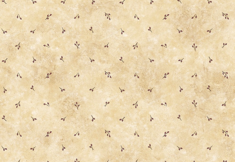 Обои Chesapeake Pure Country PUR66195