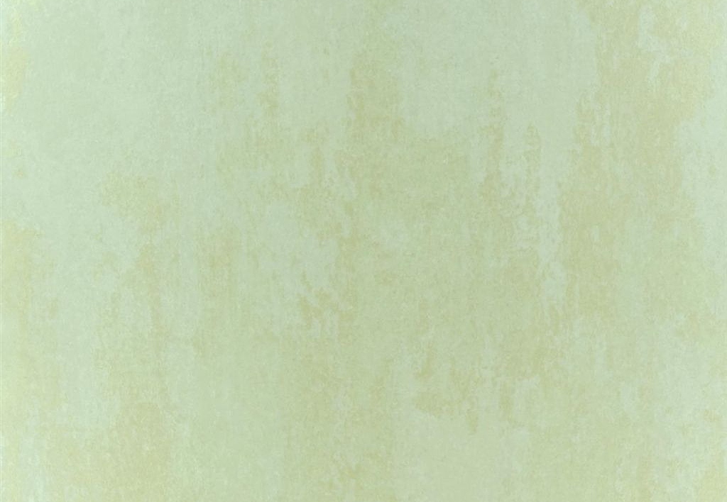 Обои Designers Guild Naturally III P555/04