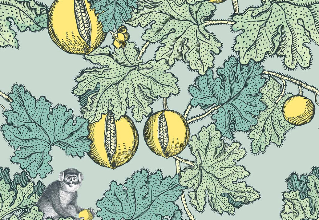 Обои Cole & Son Fornasetti III 114/1002