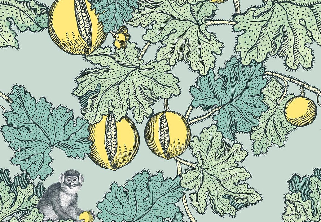 Обои Cole & Son Fornasetti III 114/1002