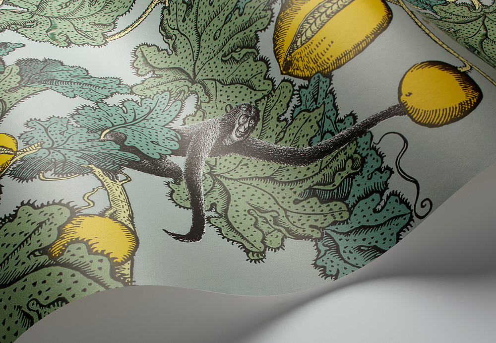 Обои Cole & Son Fornasetti III 114/1002