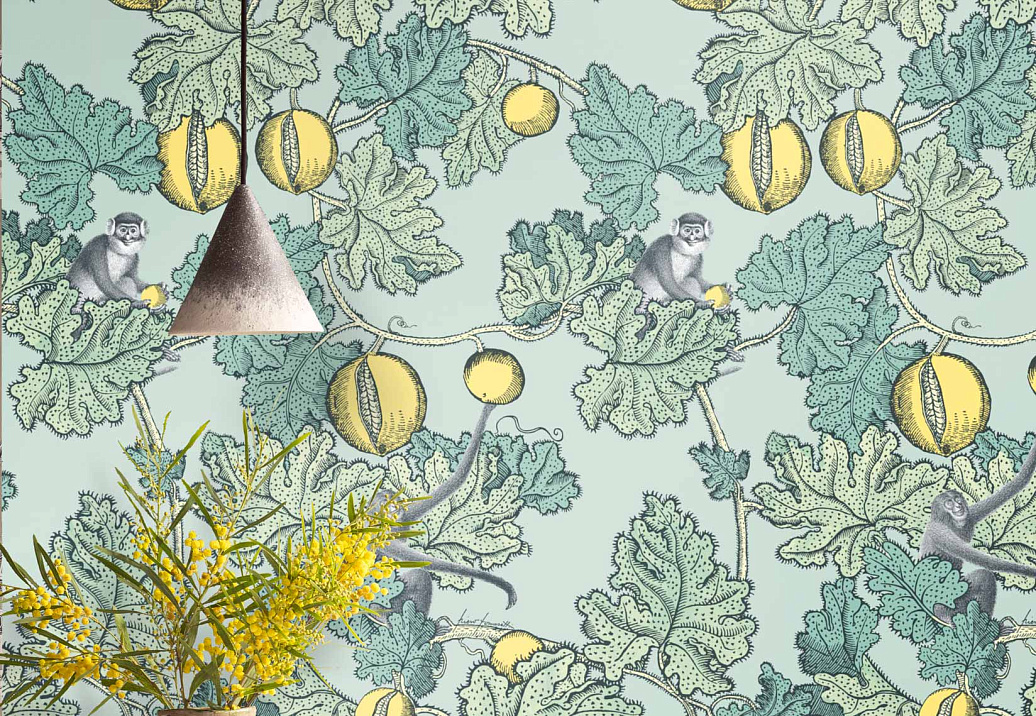 Обои Cole & Son Fornasetti III 114/1002