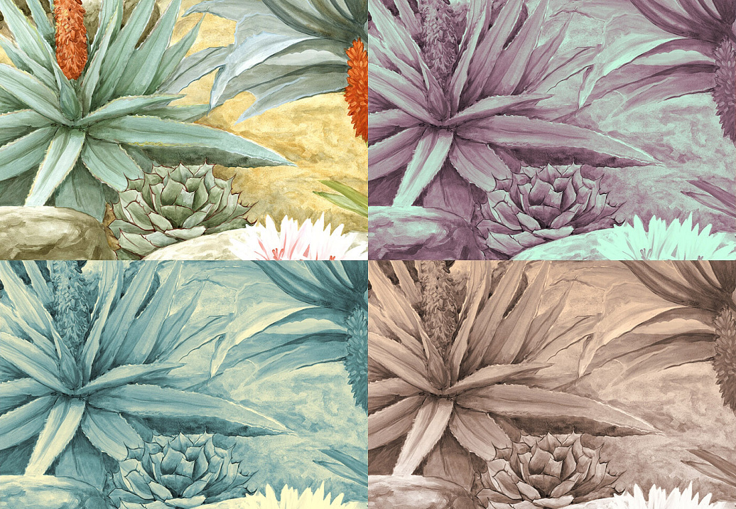 Панно и фотообои Paul Montgomery Studio Complete Collection Cactus Garden Aqua