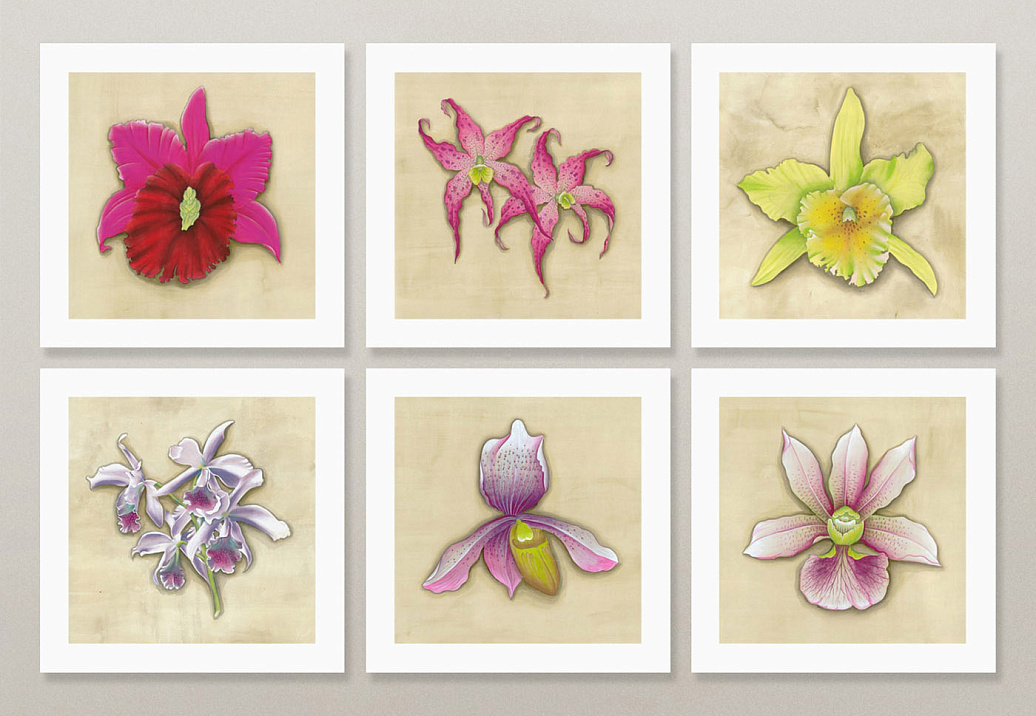 Панно и фотообои Paul Montgomery Studio Complete Collection Orchids