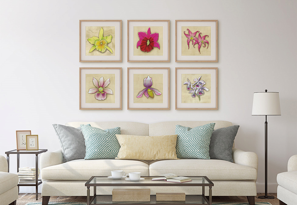 Панно и фотообои Paul Montgomery Studio Complete Collection Orchids