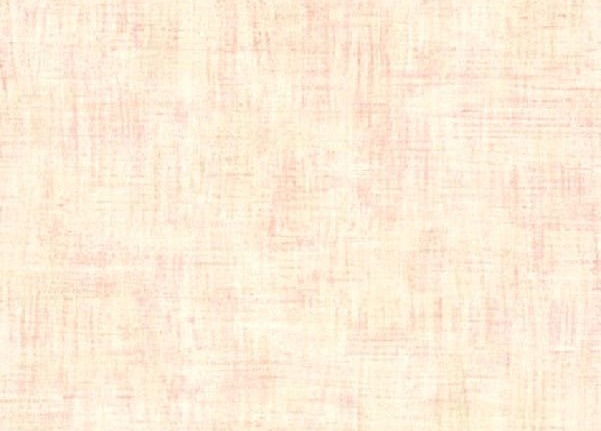 Обои Chelsea Decor Roma CD003120