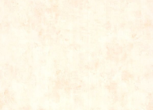Обои Chelsea Decor Roma CD003130