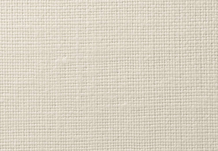 Обои Vescom Textile Wallcovering V 2620.21