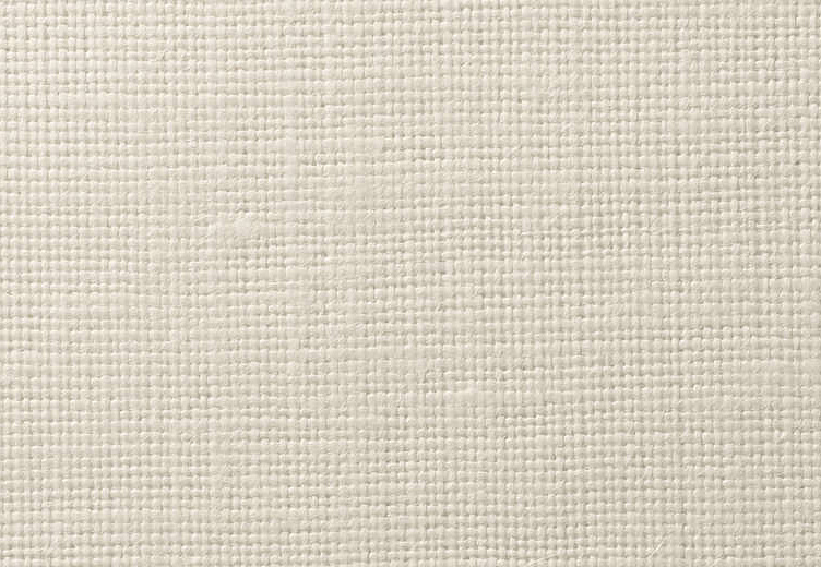 Обои Vescom Textile Wallcovering V 2620.21