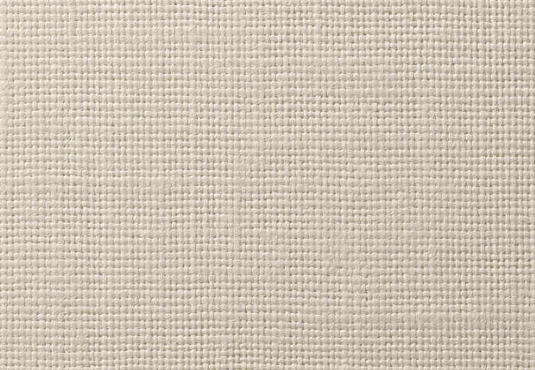 Обои Vescom Textile Wallcovering V 2620.22