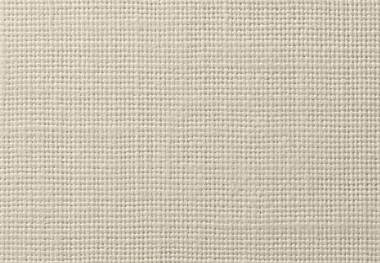 Обои Vescom Textile Wallcovering V 2620.22