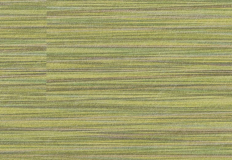 Обои Vescom Textile Wallcovering 04 2012-13