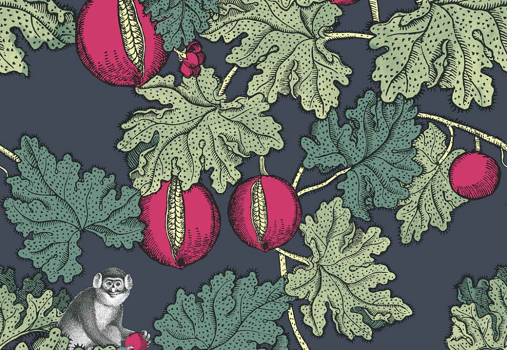 Обои Cole & Son Fornasetti Senza Tempo 114/1001