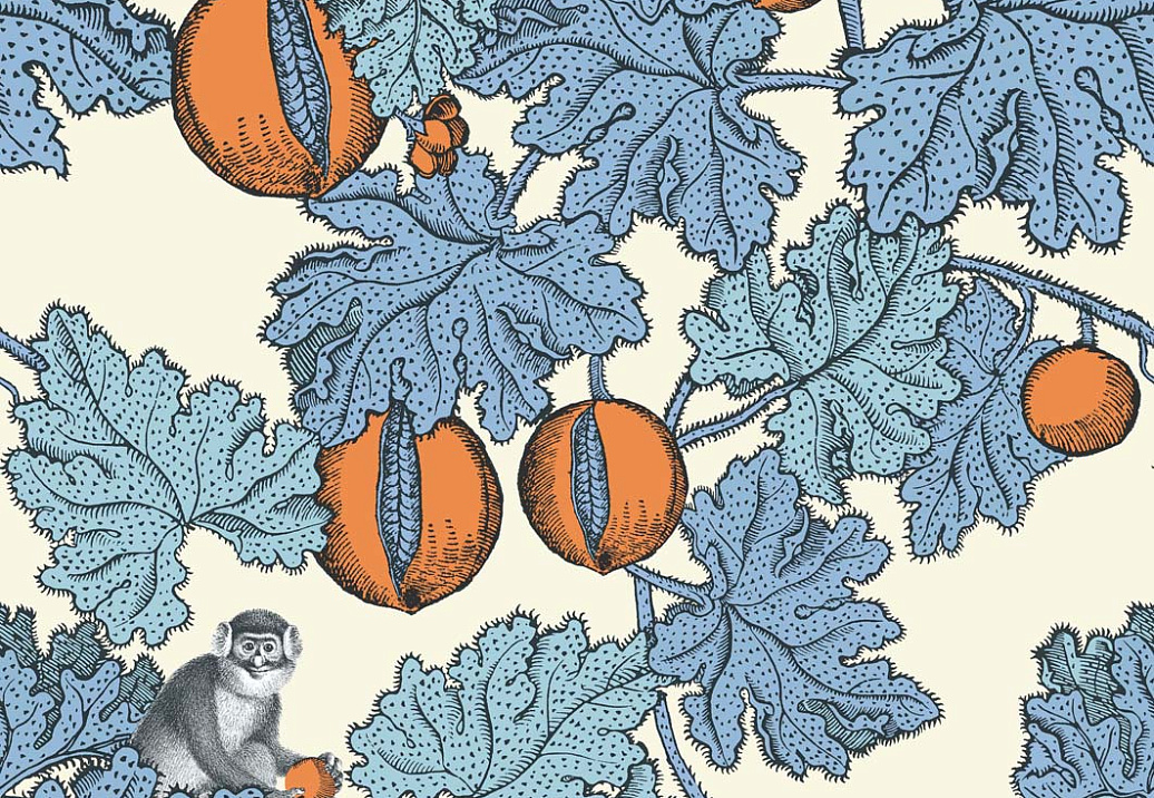 Обои Cole & Son Fornasetti Senza Tempo 114/1003