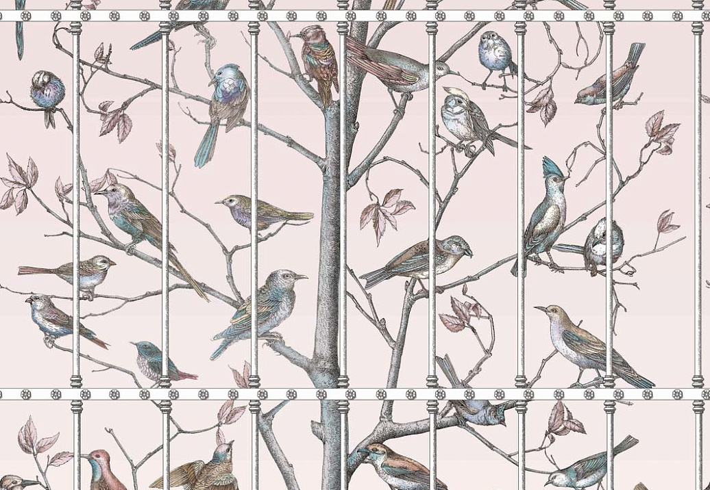 Обои Cole & Son Fornasetti Senza Tempo 114/11022