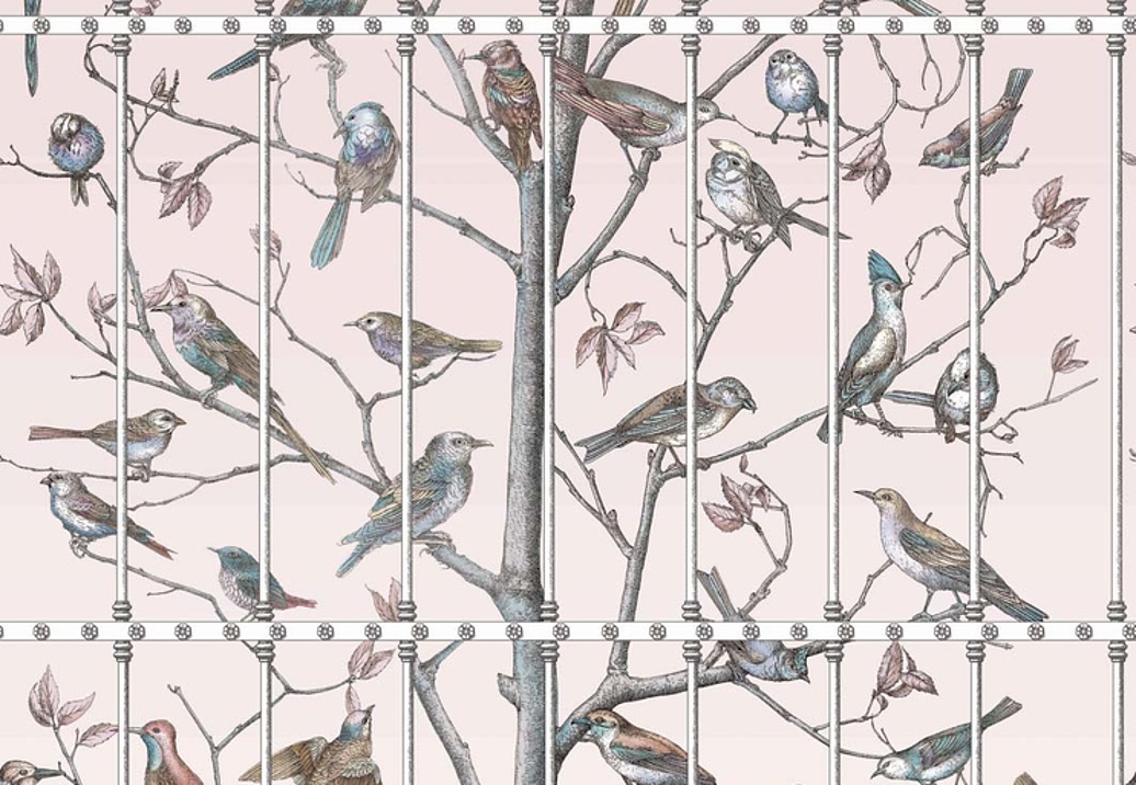 Обои Cole & Son Fornasetti Senza Tempo 114/11022