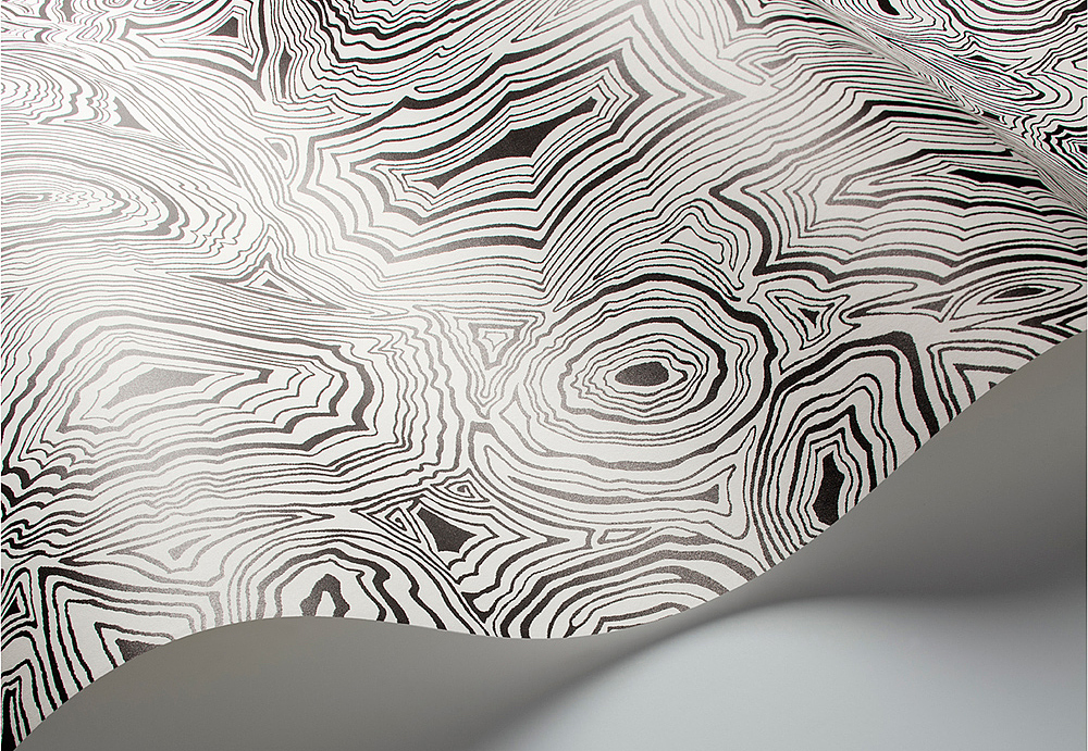 Обои Cole & Son Fornasetti Senza Tempo 114/17036