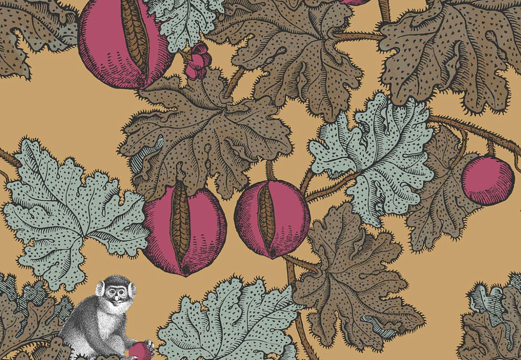 Обои Cole & Son Fornasetti Senza Tempo 114/25049