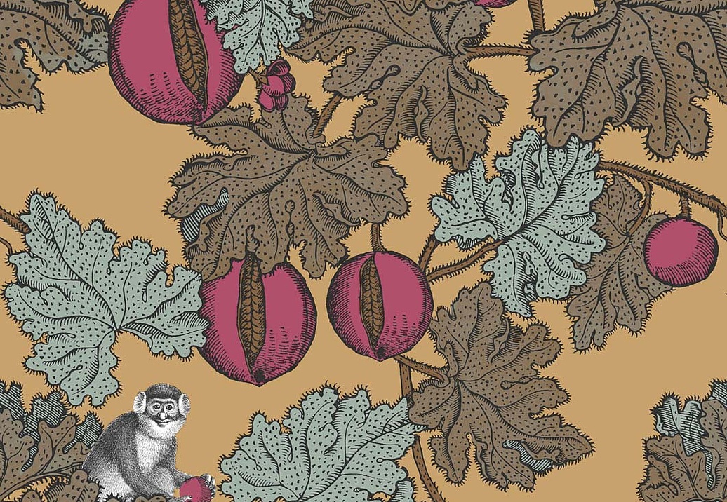 Обои Cole & Son Fornasetti Senza Tempo 114/25049