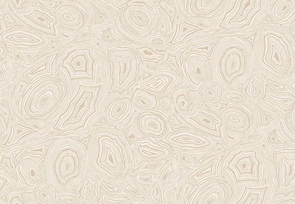 Обои Cole & Son Fornasetti Senza Tempo 114/6011