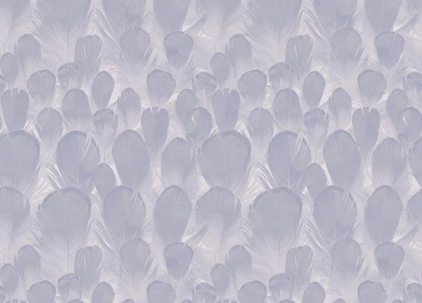 Обои York Antonina Vela - Natural Opalescence Y6230103