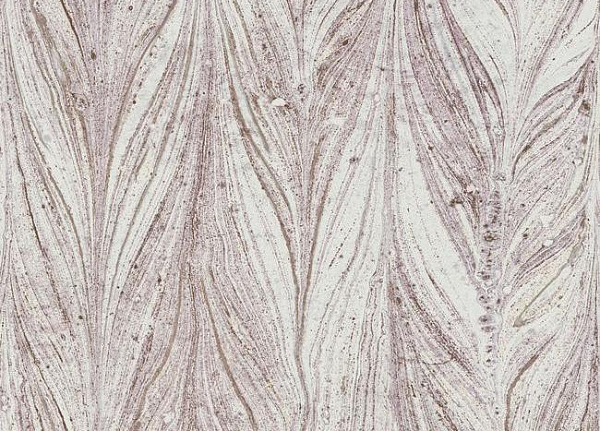 Обои York Antonina Vela - Natural Opalescence Y6230804