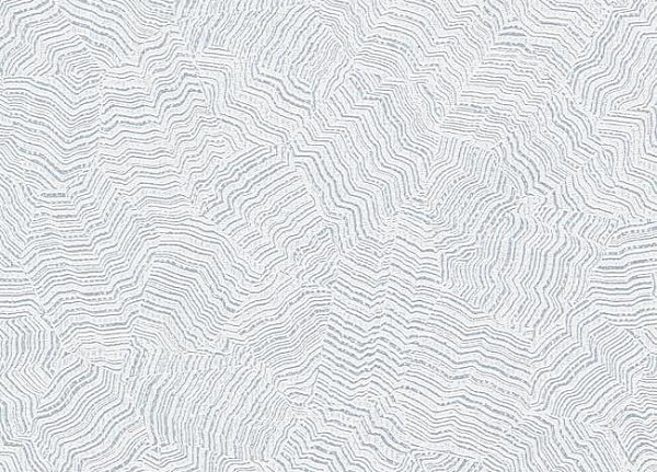 Обои York Candice Olson - Terrain COD0518N