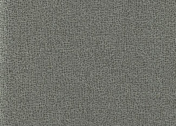 Обои York Candice Olson - Terrain COD0532N