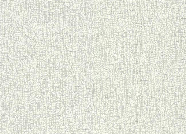 Обои York Candice Olson - Terrain COD0533N