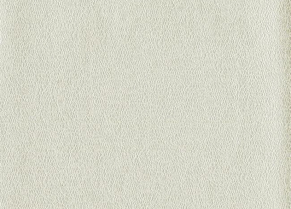 Обои York Candice Olson - Terrain COD0559N