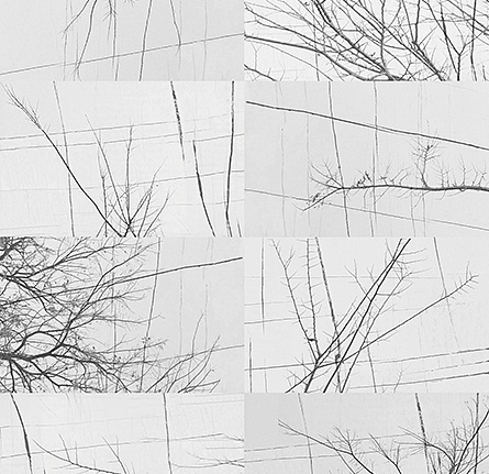 Панно и фотообои Wall & Deco Collection 2017 WDBH1701