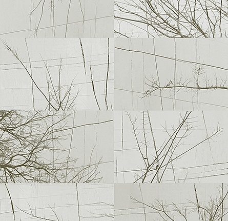 Панно и фотообои Wall & Deco Collection 2017 WDBH1702