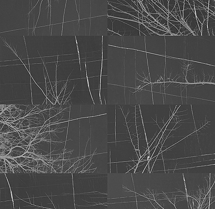 Панно и фотообои Wall & Deco Collection 2017 WDBH1703
