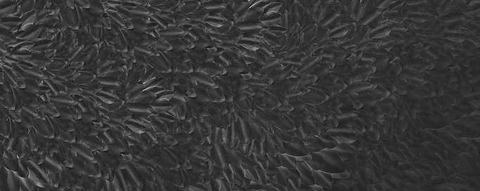 Панно и фотообои Wall & Deco Collection 2017 WDDS1701