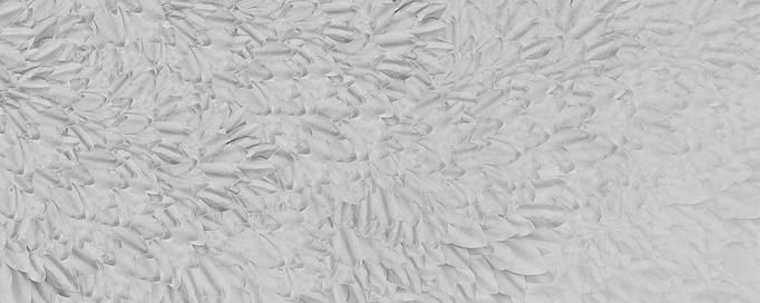 Панно и фотообои Wall & Deco Collection 2017 WDDS1702