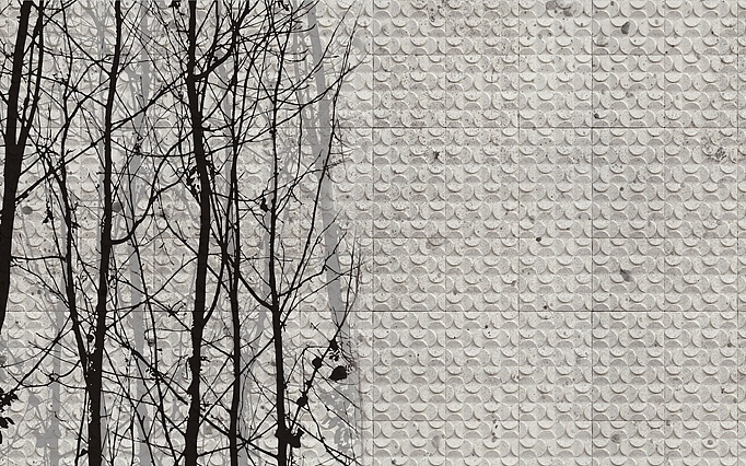 Панно и фотообои Wall & Deco Wet System 2015 WET_FG1502