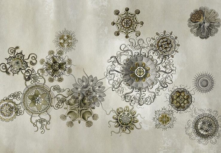 Панно и фотообои Wall & Deco Wet System 2015 WET_ME1501