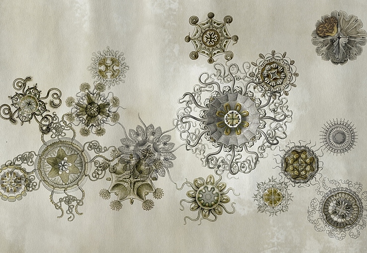 Панно и фотообои Wall & Deco Wet System 2015 WET_ME1501
