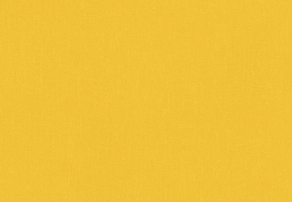 Обои A. S. Creation Pop Colors 346261
