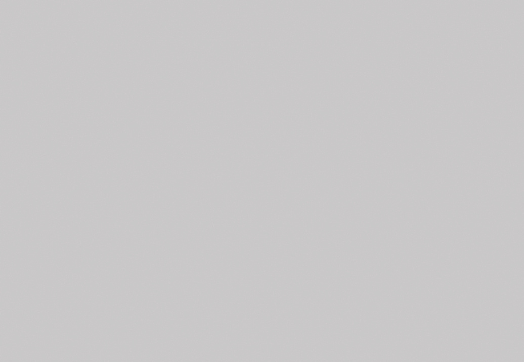 Обои Borastapeter Pigment II 7958