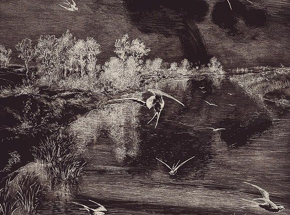 Панно и фотообои Eijffinger Geonature 366100