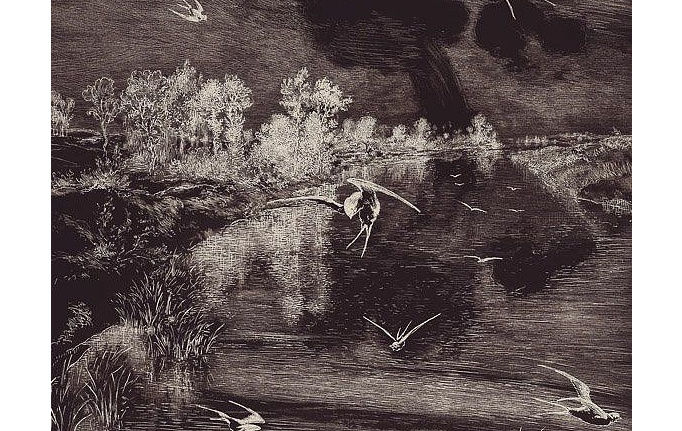 Нидерландские панно и фотообои Eijffinger, коллекция Geonature, артикул 366100