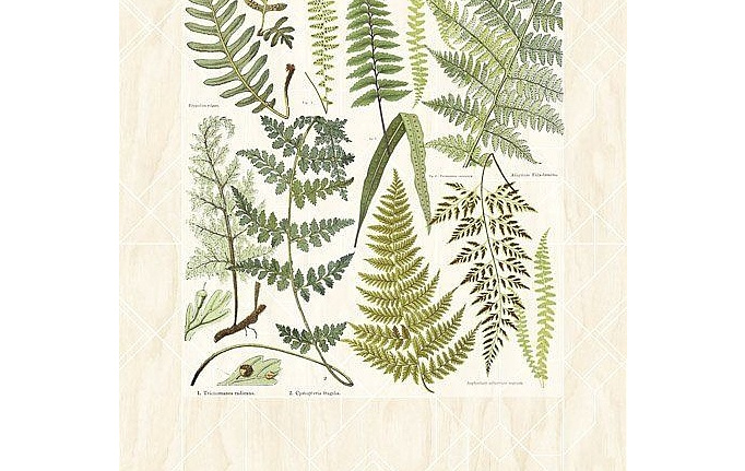 Нидерландские панно и фотообои Eijffinger, коллекция Geonature, артикул 366102