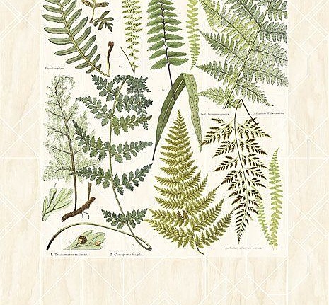 Панно и фотообои Eijffinger Geonature 366102