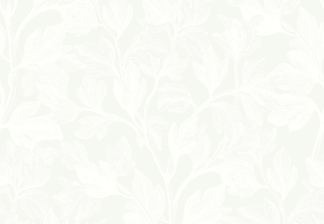 Обои Eco White & Light (Engblad & Co) 7168